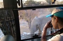 6 Day Sand, Sea & Etosha Budget Camping Safari