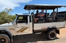 Yala Safari Private Tour From Ahungalla