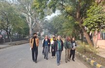 Delhi Street Art and Hidden Tomb Tour in Lodhi Art District