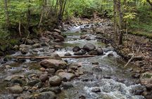 All Inclusive Guided Hike To Jacques Cartier National Park