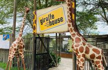 Wine Tasting, Lion Park and Giraffe House Tour