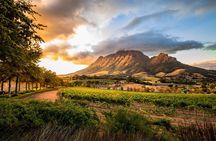Wine Tasting, Lion Park and Giraffe House Tour