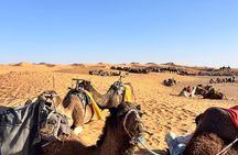 Marrakech to Fes Sahara Desert Tour & overnigyt Camp & Camel Trek