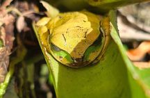 Private Wildlife Walk, Coffee Experience and Traditional Lunch
