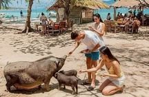 Samui Viewpoint Elephant Pig Island and Snorkeling with Lunch
