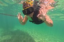Snorkeling with Turtles in Akumal Bay