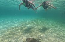 Snorkeling with Turtles in Akumal Bay