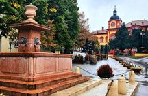 Novi Sad and Sremski Karlovci Tour from Belgrade
