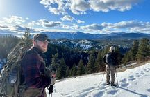 Blackfoot River Guided Tour Wildlife History and Conservation
