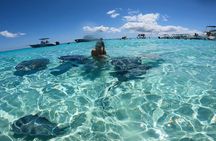 Private Grand Cayman Boat Charters Stingray City and Snorkeling