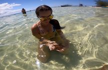 Private Grand Cayman Boat Charters Stingray City and Snorkeling