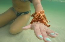 Private Grand Cayman Boat Charters Stingray City and Snorkeling