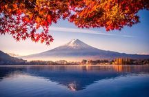 Mt Fuji Oshino Hakkai Gotemba Outlets and Hot Spring Day Tour