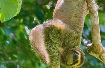 Manuel Antonio National Park Guided Tour