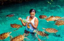 Kuza Cave Salaam Cave Mtende Beach and the Rock Restaurant