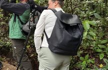 Monteverde Wildlife Discovery with Local Naturalist Guide