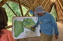 Orangutan Haven Day Tour