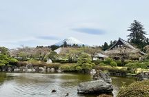 Mt Fuji Private Tour from Shin Fuji Station