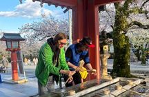 Mt Fuji Private Tour from Shin Fuji Station