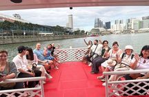 Singapore River Cruise and Light Shows Guided Tour With Transport
