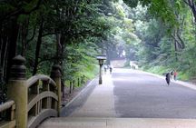 Tokyo Private Tour: One Day Highlights