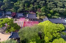Seoul Customized Private Tour