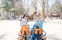 Seoul Customized Private Tour
