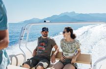 Dolphin Watching in Mallorca – Small Group Marine Life Experience