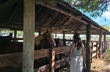 Gaucho Tour in Estancia Santa Susana from Buenos Aires