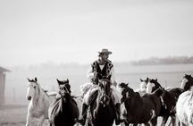 Gaucho Tour in Estancia Santa Susana from Buenos Aires