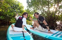 Hidden Jungle Mangrove SUP in Miyakojima (English tour)