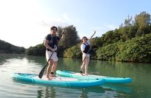 Hidden Jungle Mangrove SUP in Miyakojima (English tour)