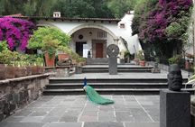 The Life of Frida Kahlo Exclusive Tour at the Dolores Olmedo Museum