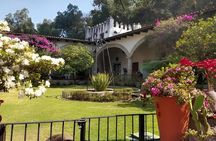 The Life of Frida Kahlo Exclusive Tour at the Dolores Olmedo Museum