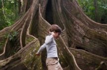 Full day combo in Buena Vista