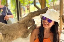 Roatan Private Excursión, Monkey & Sloth Sanctuary & Beach Break