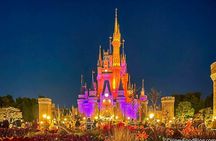 Ticket to Tokyo Disneyland with options