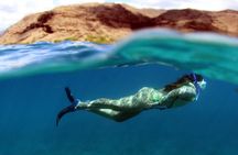 3 Zipline Adventure and 3.5 hour Afternoon Snorkel Cruise