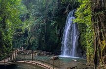 Private Tour - Ubud Rice Terraces, Temple & Waterfall