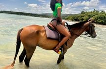 Jamaica Horse Ride Tour with Lunch and Shopping