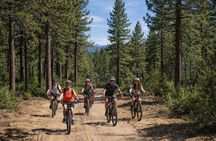 Lake Tahoe Peak and Beach E-Bike Adventure