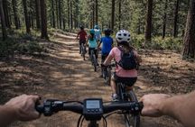 Lake Tahoe Peak and Beach E-Bike Adventure