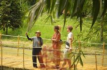 Orangutan Haven Day Tour