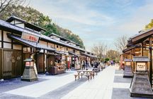 Full Day Nagoya Private Tour