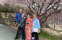 Kyoto Satoyama Cycling with Lunch and English Guide