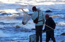 Private Tour: Amber Hunting in Curonian Spit from Klaipeda