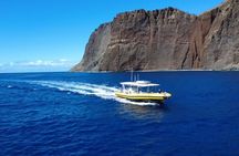 5-Hour Lanai Snorkel & Dolphin Adventure