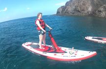 Electric Paddle Surfing in Lanzarote