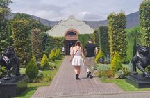 Full Day Cape Town Wineland Tour