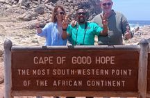 Cape Peninsula Full Day Tour with Penguins and Ocean Views
